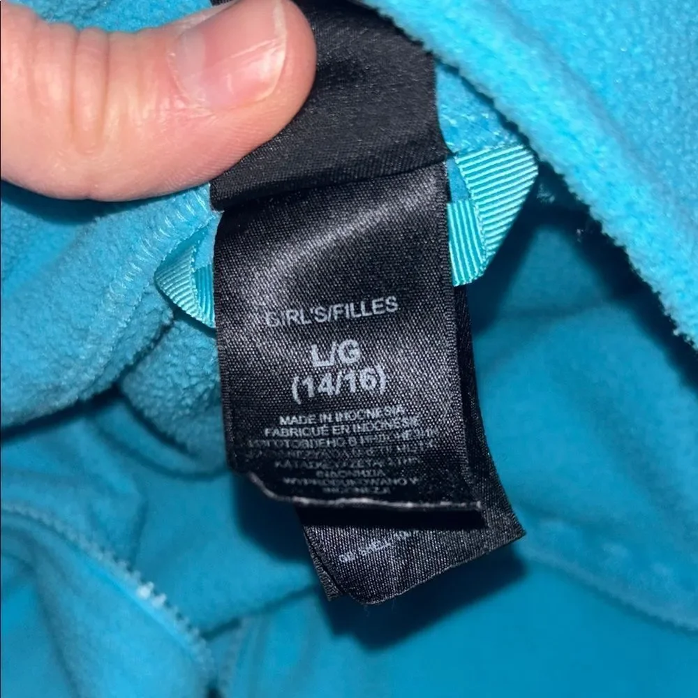 The North Face Blue Fleece Jacket with High Collar